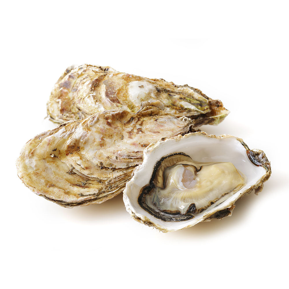 Wholesale Mad House Maryland Oysters | 100 ct- Bulk