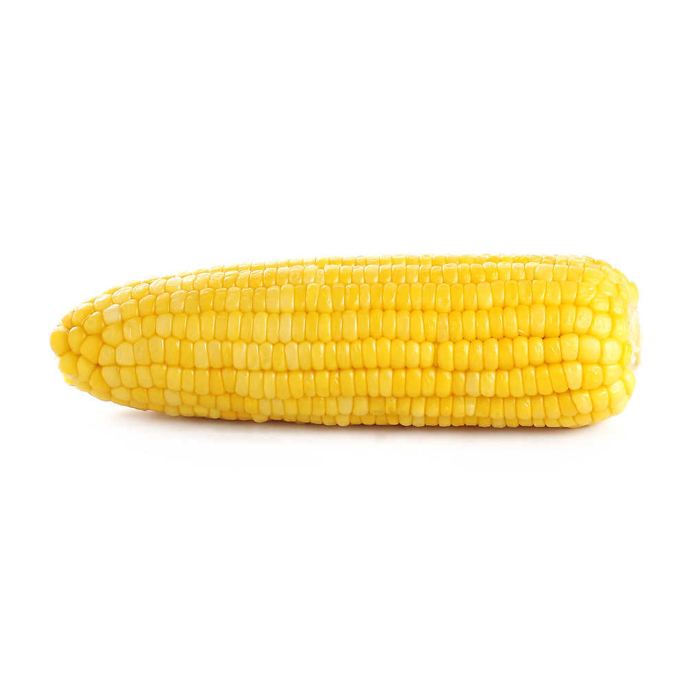 Wholesale BoxNCase Case 10In Frozen Corn Cob Butt On- Bulk