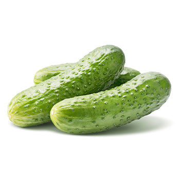 Wholesale Pickle Guy New Pickles- Bulk