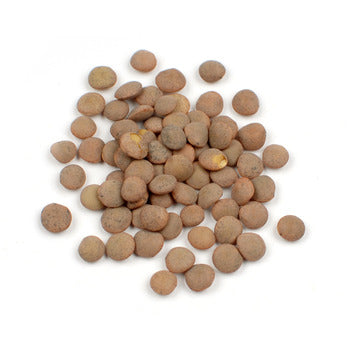 Wholesale Woodland Foods Spanish Brown Pardina Lentils 25lb- Bulk