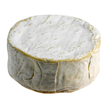 Wholesale Brillat Savarin Triple Creme Cheese 17.5oz- Bulk