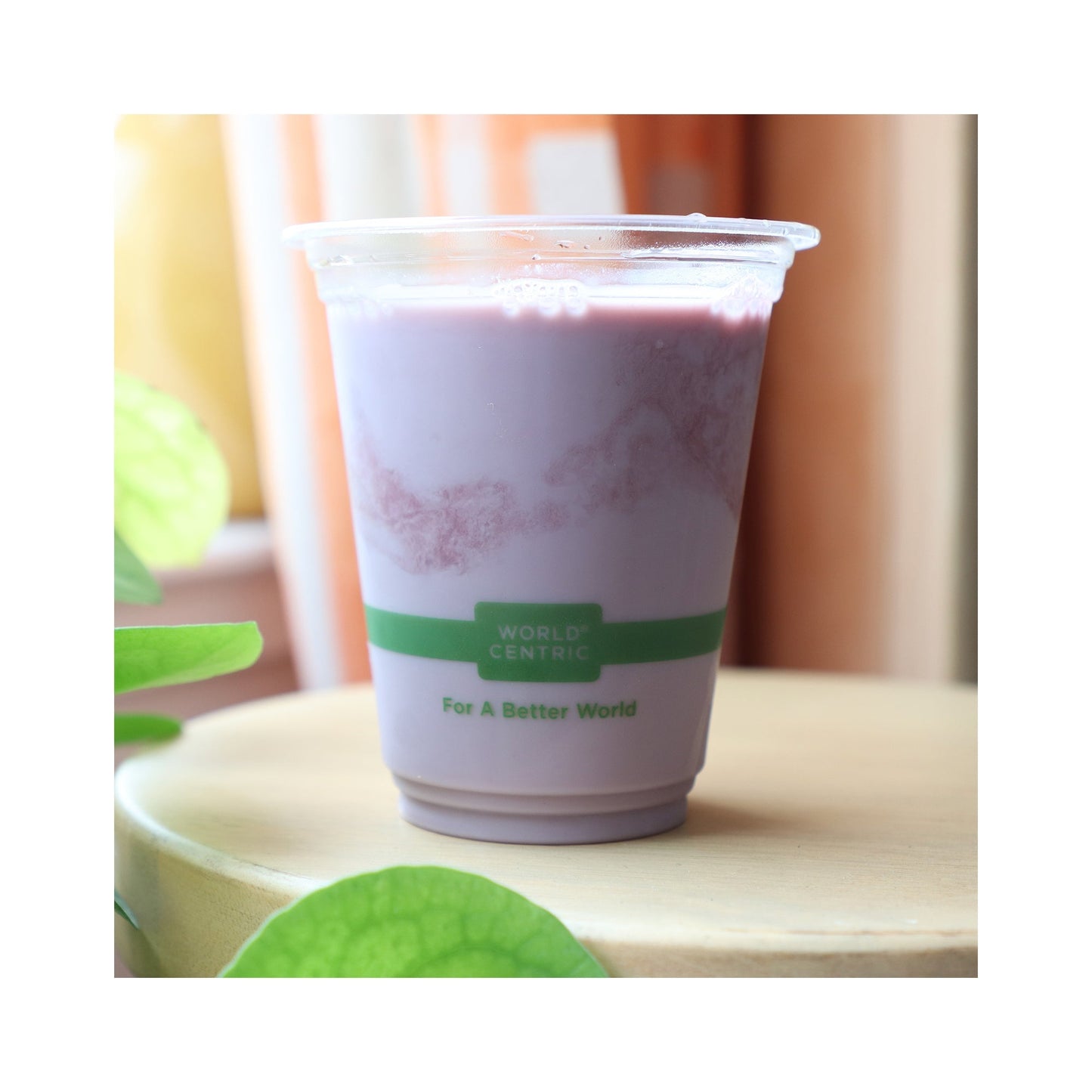 Wholesale World Centric Clear Plastic Cup 12 Oz- Bulk