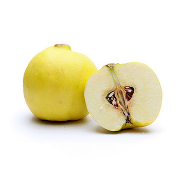 Wholesale Dix Farms Quince- Bulk
