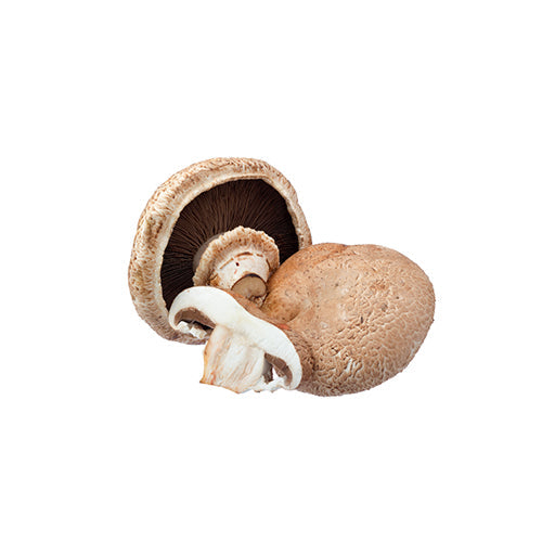 Wholesale Dix Farms Medium Portabella Mushrooms 5lb- Bulk