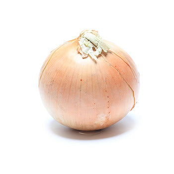 Wholesale Dix Farms Jumbo Spanish Onions 50lb- Bulk