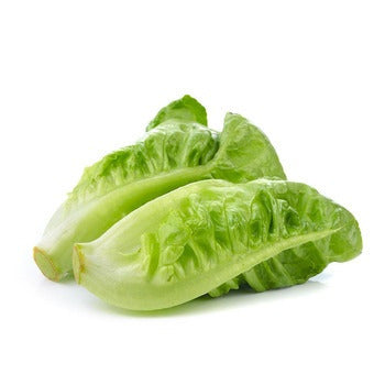 Wholesale Dix Farms Jumbo Romaine Hearts- Bulk