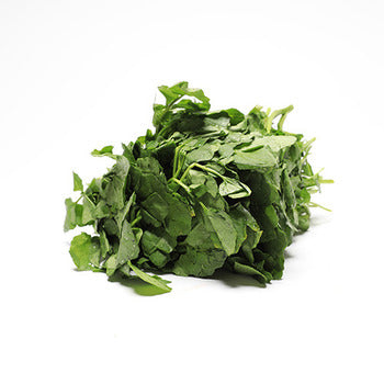 Wholesale B & W Bunched Watercress Greens- Bulk
