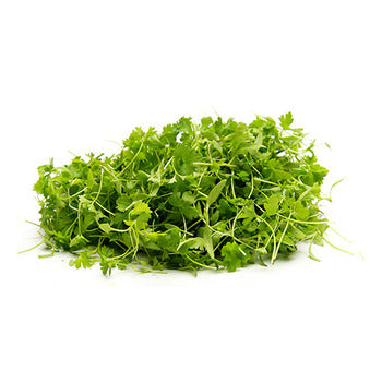 Wholesale Dix Farms Parlsey Micro Greens 3oz- Bulk