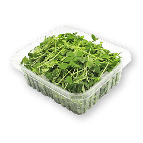 Wholesale Flavour Fields Pea Tendrils 8oz- Bulk