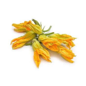 Wholesale Dix Farms Zucchini Squash Blossoms- Bulk