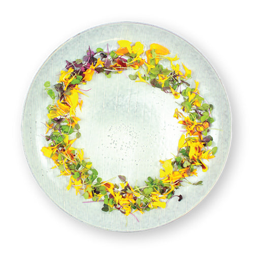 Wholesale Flavour Fields Micro Celebration Mix 3oz- Bulk