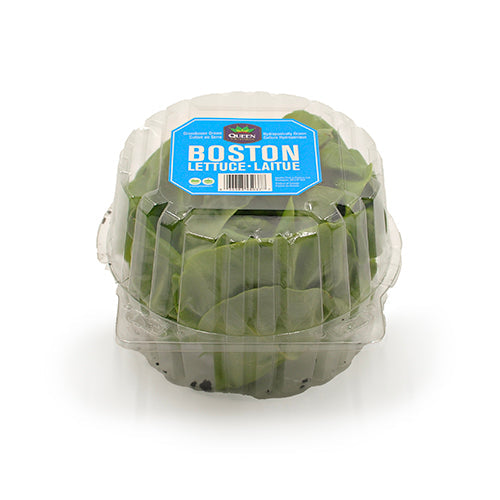 Wholesale Dix Farms Hydroponic Boston Lettuce- Bulk