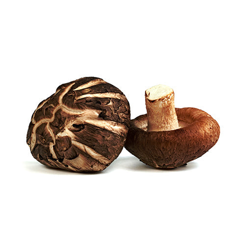 Wholesale Dix Farms Organic Xl Shiitake Mushrooms 3lb- Bulk