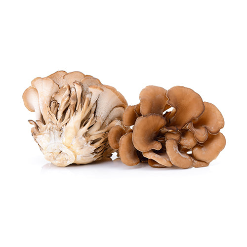Wholesale Mushroom King Farm Organic Maitake Mushroom 3lb- Bulk
