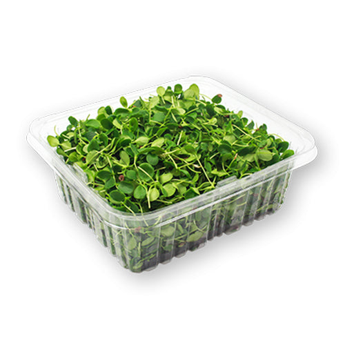 Wholesale Flavour Fields Micro Greens Toona 3oz- Bulk