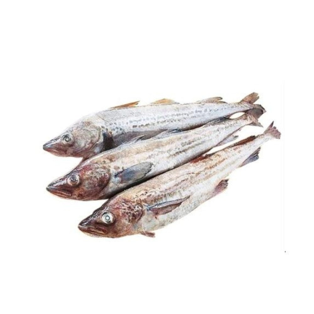 Wholesale Haskell'S Case Whole Cleaned Whiting- Bulk