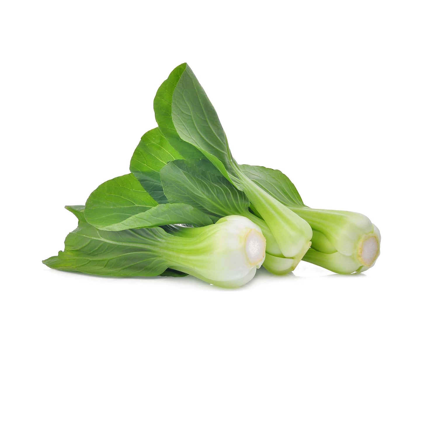 Wholesale Dix Farms Fresh Bok Choy Baby, Local 10lb- Bulk