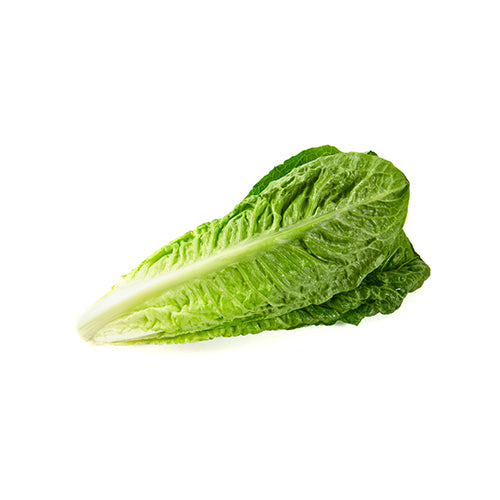 Wholesale Dix Farms Romaine Lettuce Local- Bulk