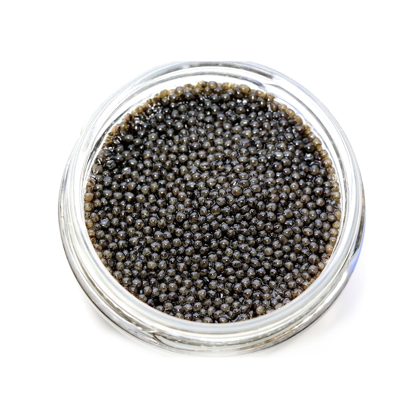 Wholesale Sasanian Siberian Baerrii Caviar 17.5oz- Bulk