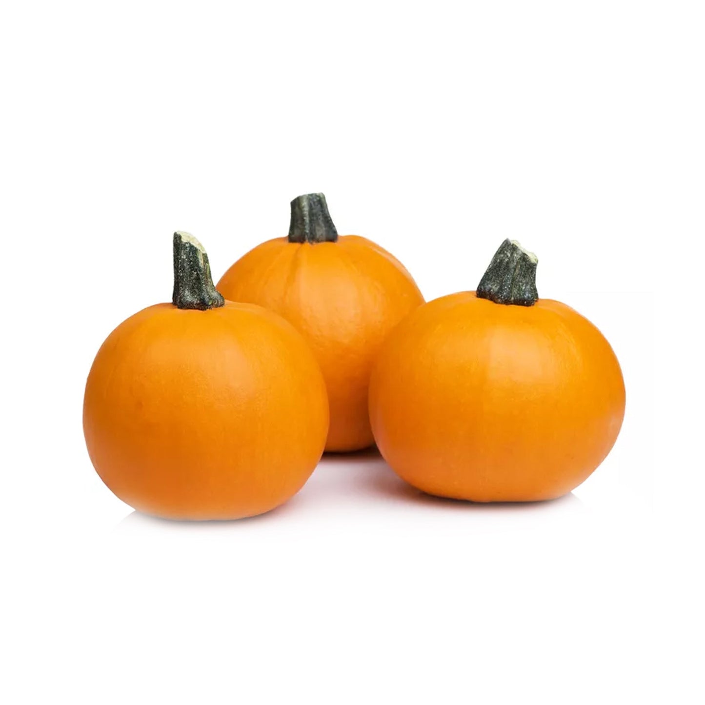 Wholesale Dix Farms Soup Bowl Pumpkins 35lb- Bulk