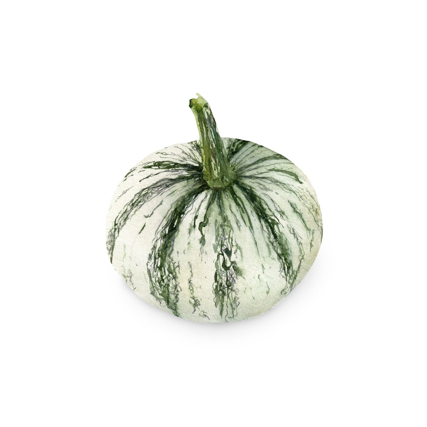 Wholesale Dix Farms Silver Edge Pumpkin Local 35lb- Bulk