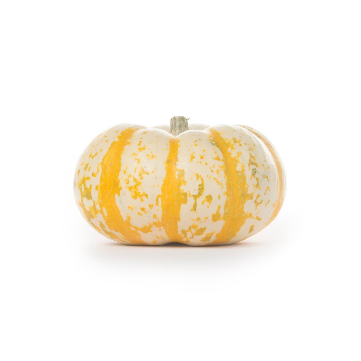 Wholesale Dix Farms Pumpkin Pump-Ke-Mon Lcl- Bulk