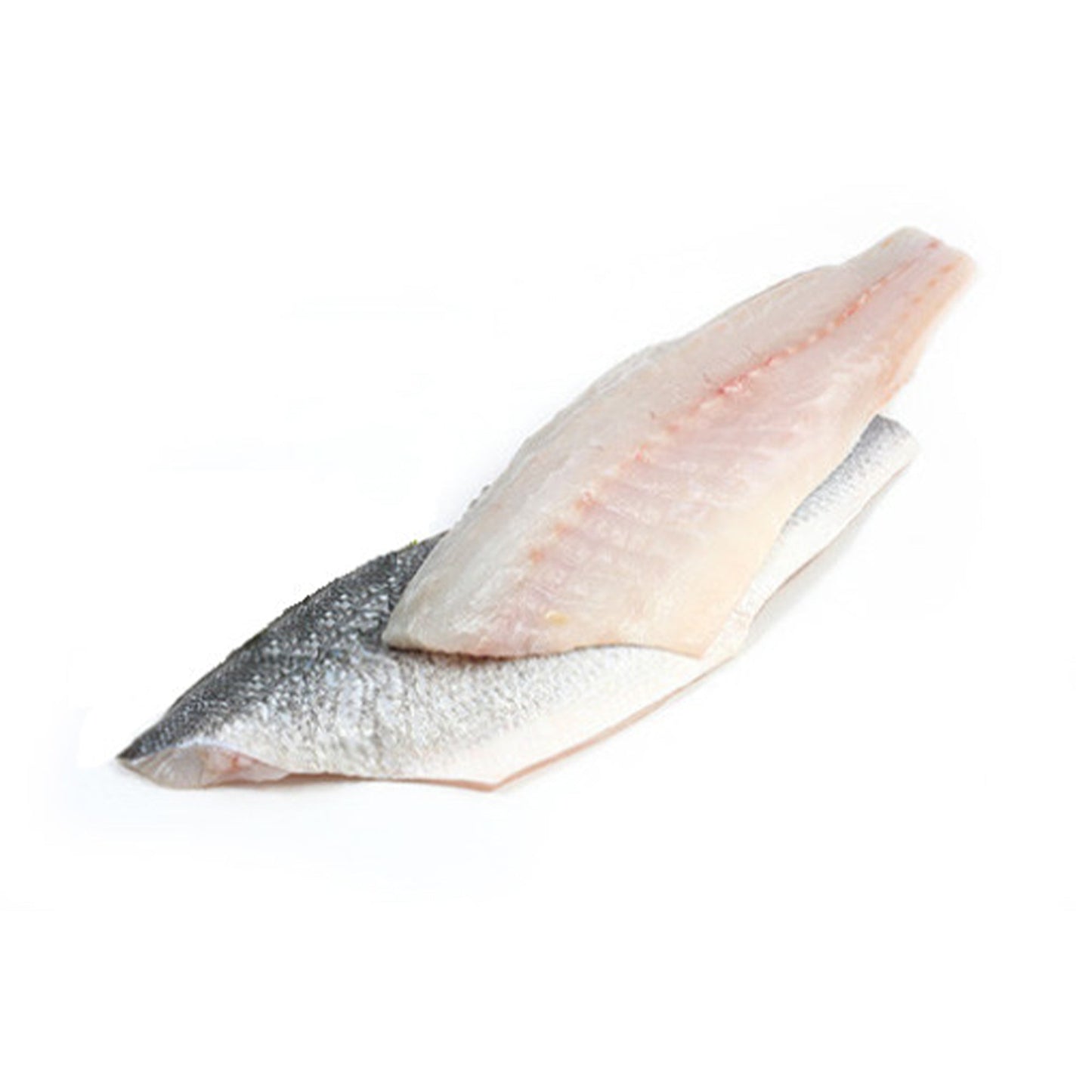 Wholesale Down East Seafood Branzino Fillet, Skin-on (Pin Bone-Out) 5 Oz 10lb- Bulk