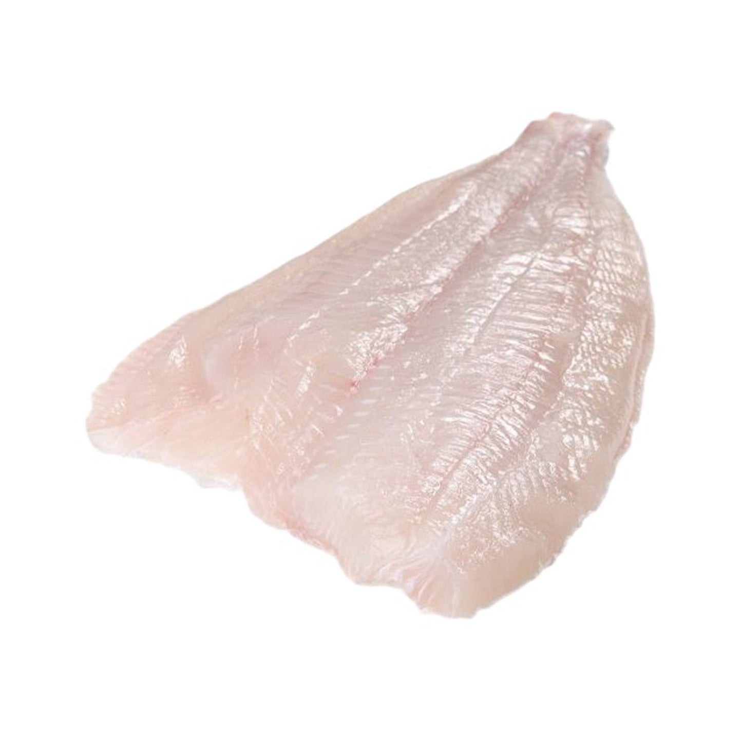 Wholesale Down East Seafood Halibut Fillet, Skin-on, Pin-Bone-Out 10lb- Bulk