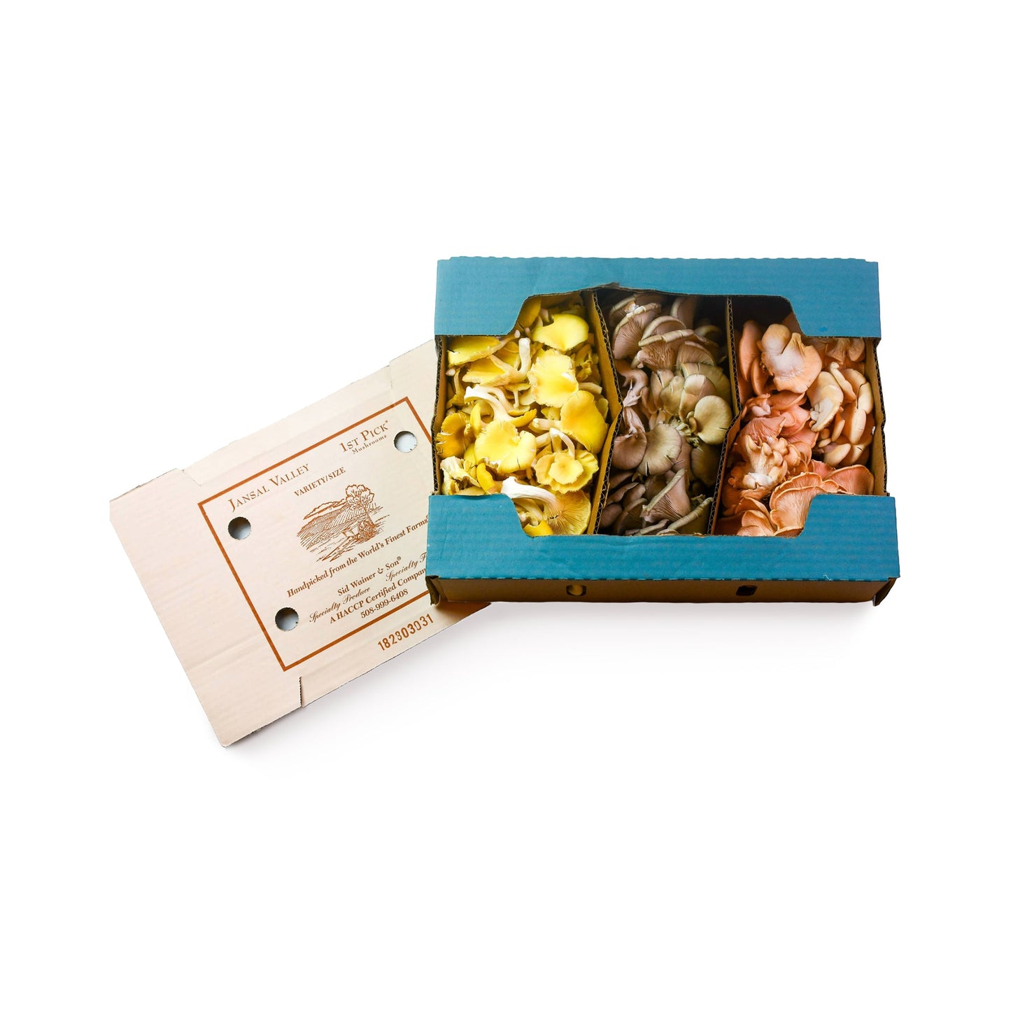Wholesale Dix Farms Oyster Mushroom Trio 3lb- Bulk