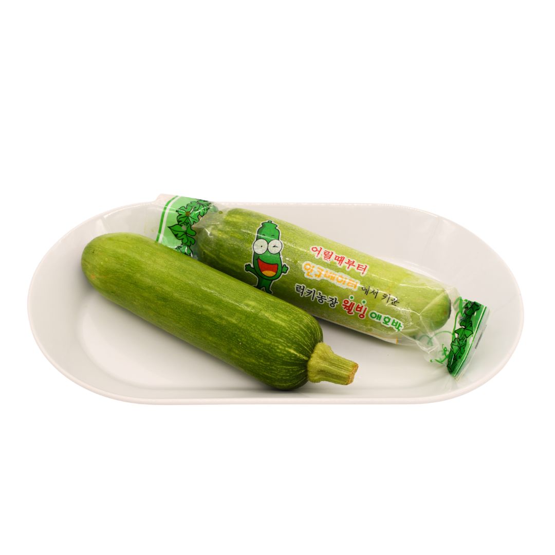 Wholesale Girl And Dug Squashini 4lb- Bulk