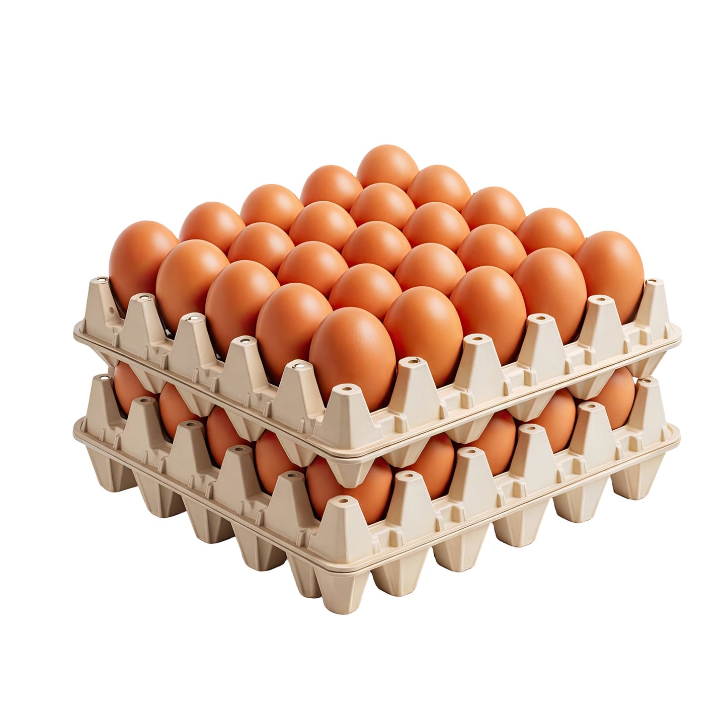 Wholesale Vital Farms Pasture Raised Brown Extra Large Eggs- Bulk