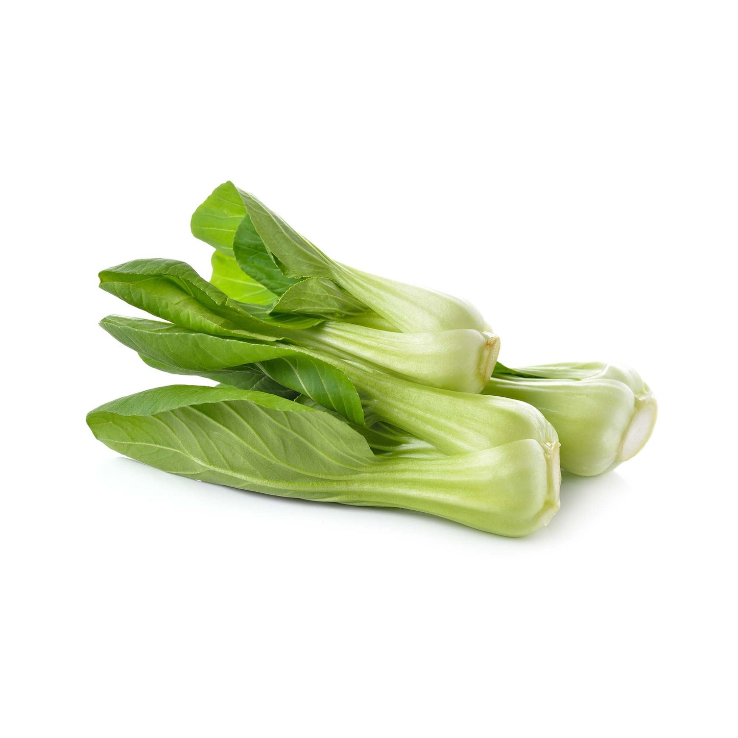 Wholesale Dix Farms Baby Bok Choy 30lb- Bulk