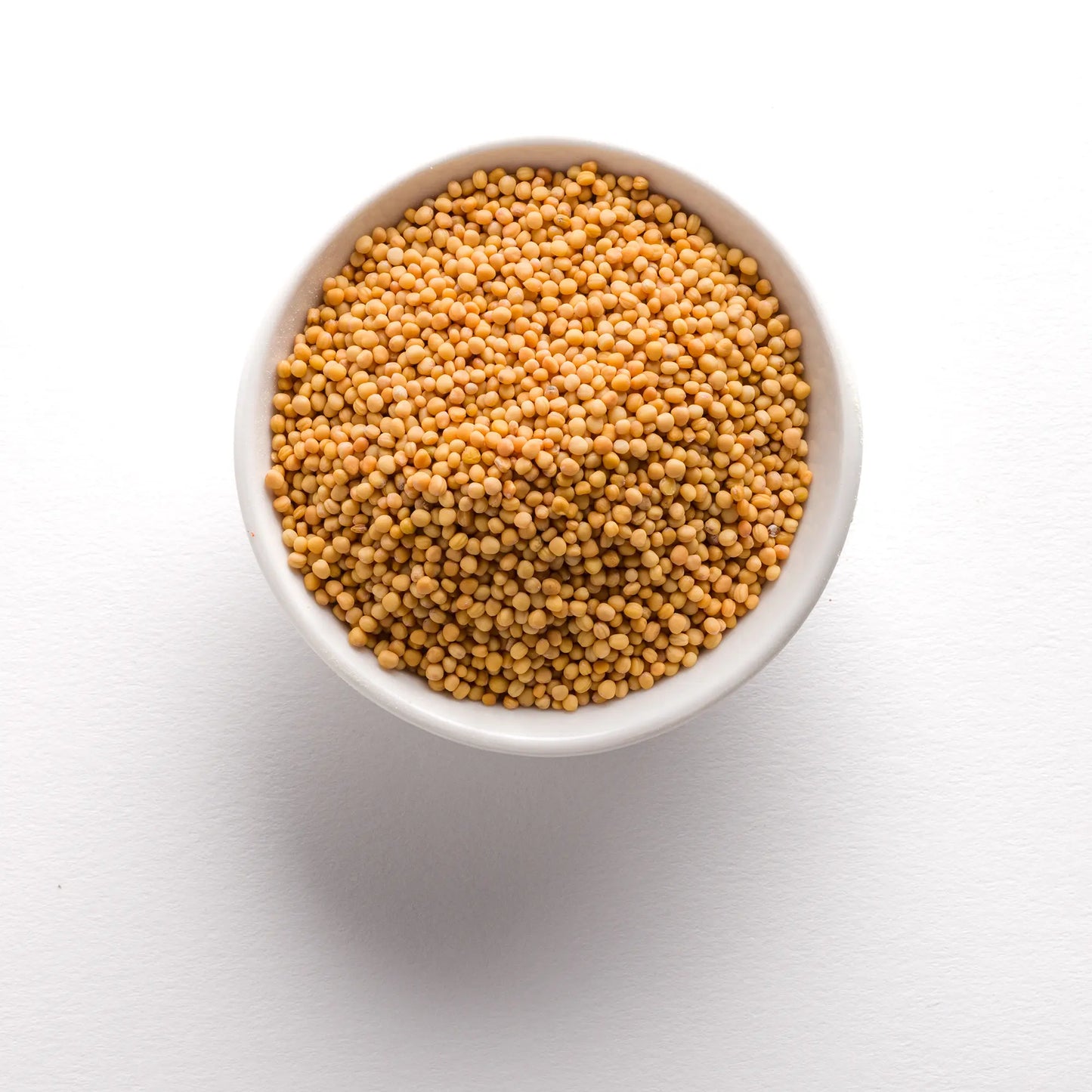 Wholesale BoxNCase Whole Yellow Mustard Seed 16oz- Bulk