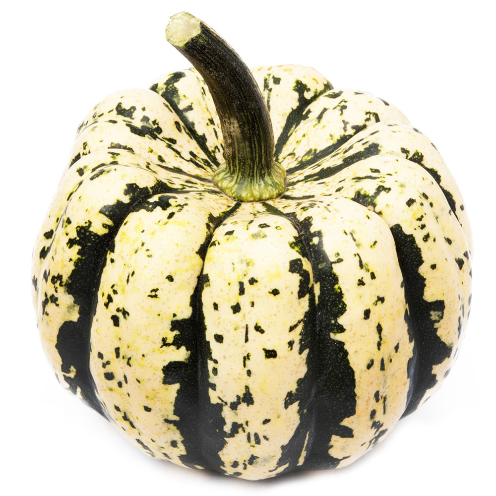 Wholesale Sweet Dumpling Squash | 25 lb- Bulk