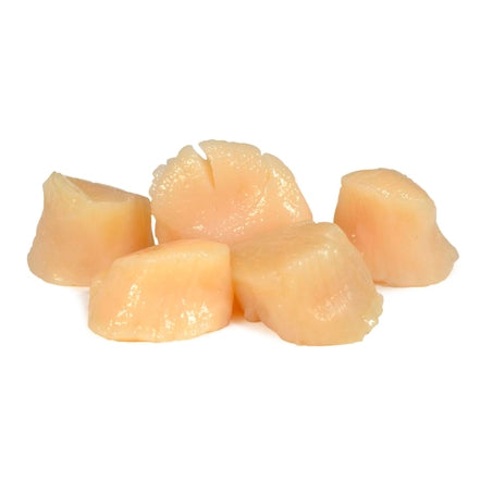 Wholesale Sea Best Gold Case Dry Scallops U/10Ct Iqf- Bulk