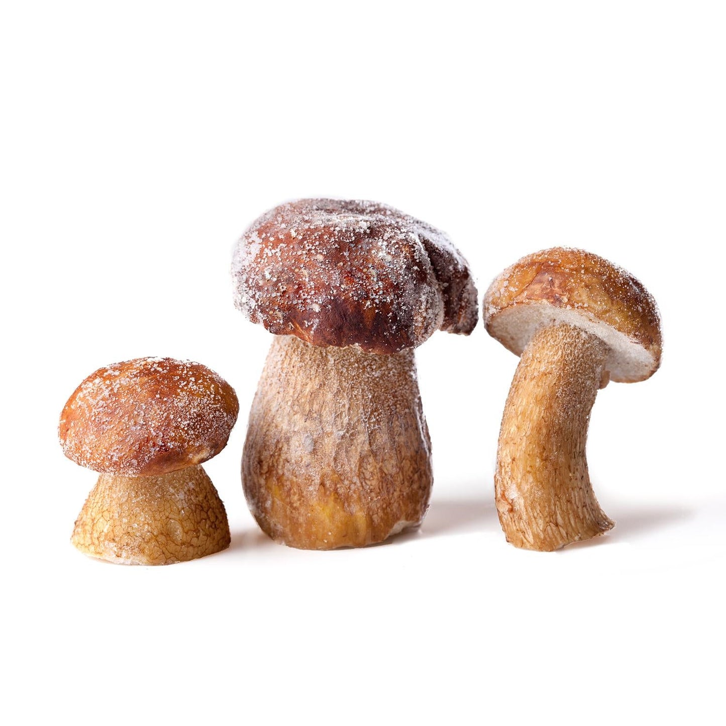 Wholesale White Toque Porcini Whole Grade a Frozen 2.2 Lb- Bulk