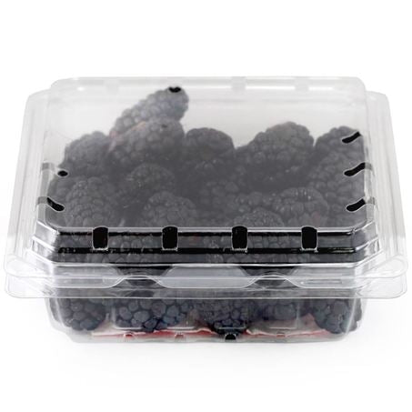 Wholesale Driscoll Case Blackberry- Bulk
