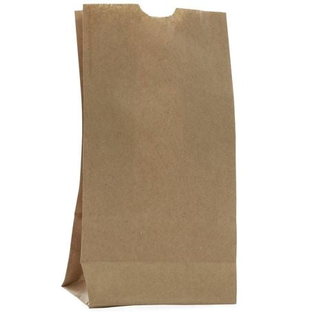 Wholesale Duro Case 1/8 Tall Brown Bag- Bulk