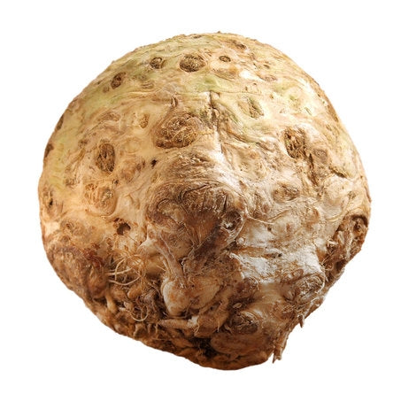 Wholesale BoxNCase Case Celery Knob (Root)- Bulk