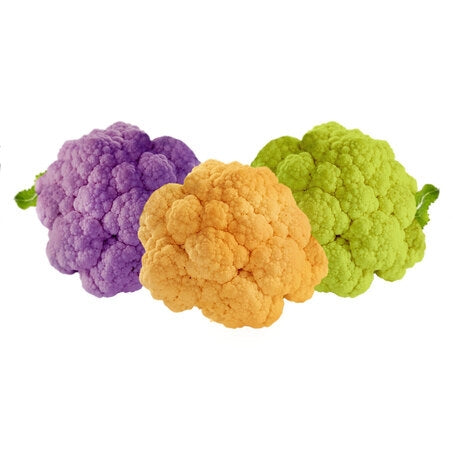 Wholesale Carnival Case Tri-Color Cauliflower- Bulk