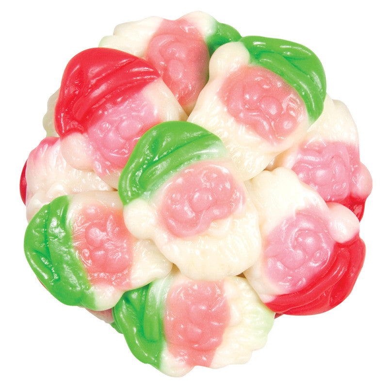 Wholesale Vidal Gummy Santas- Bulk