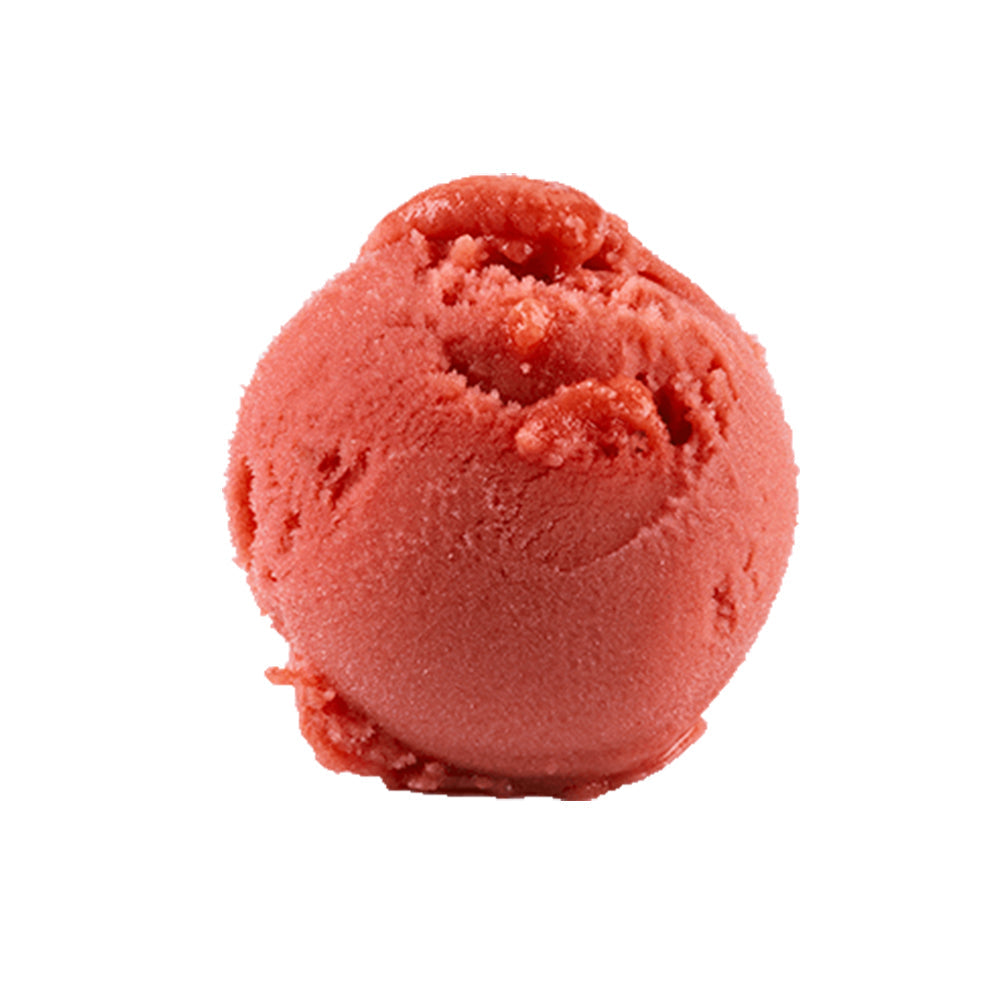 Wholesale Gelarto Blood Orange Sorbetto | 5 lt tray- Bulk