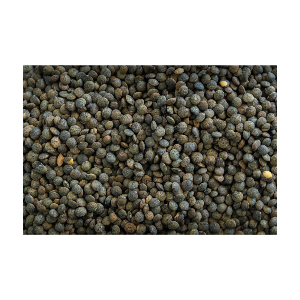Wholesale BoxNCase Case French Green Lentil- Bulk