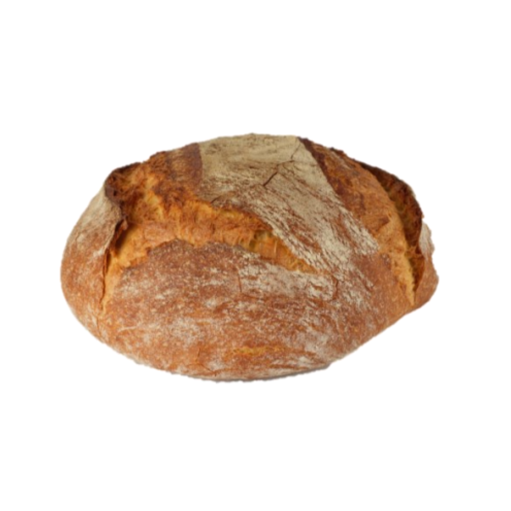 Wholesale Forte Case Frozen Round Bread With Remilled Durum Wheat- Bulk