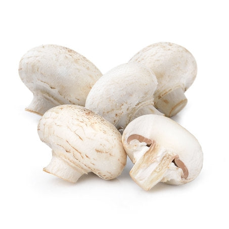 Wholesale Phillips Case Medium Mushrooms- Bulk