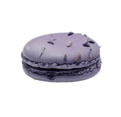 Wholesale Duverger Blueberry Lavender Macaron Gluten Free 12 ct- Bulk