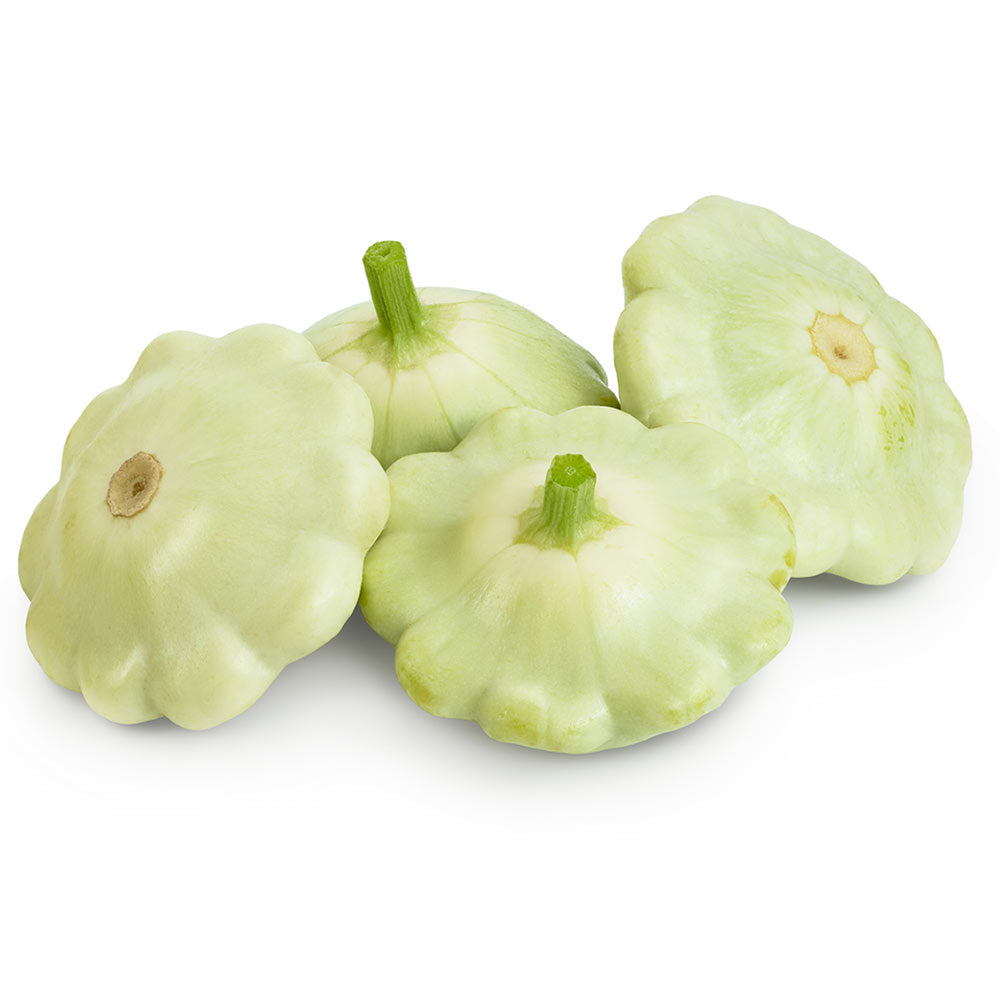 Wholesale BoxNCase Case Patty Pan Green Squash- Bulk