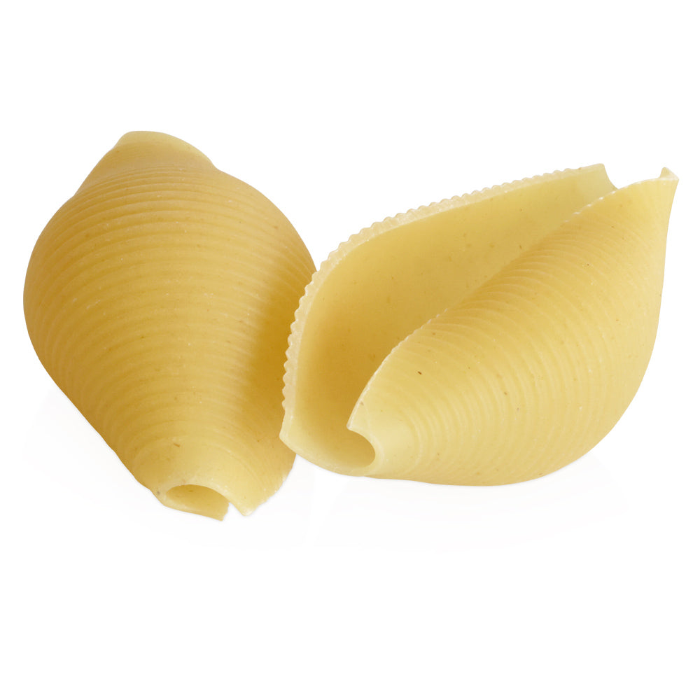 Wholesale Zerega Case Jumbo Pasta Shells- Bulk