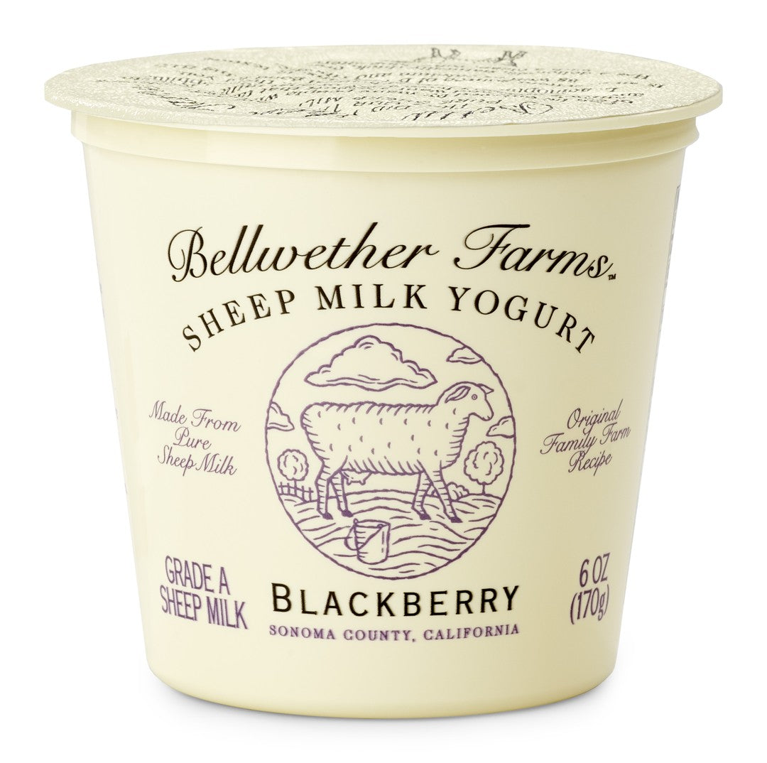Wholesale Bellwether Sheep Yogurt Blackberry- Bulk