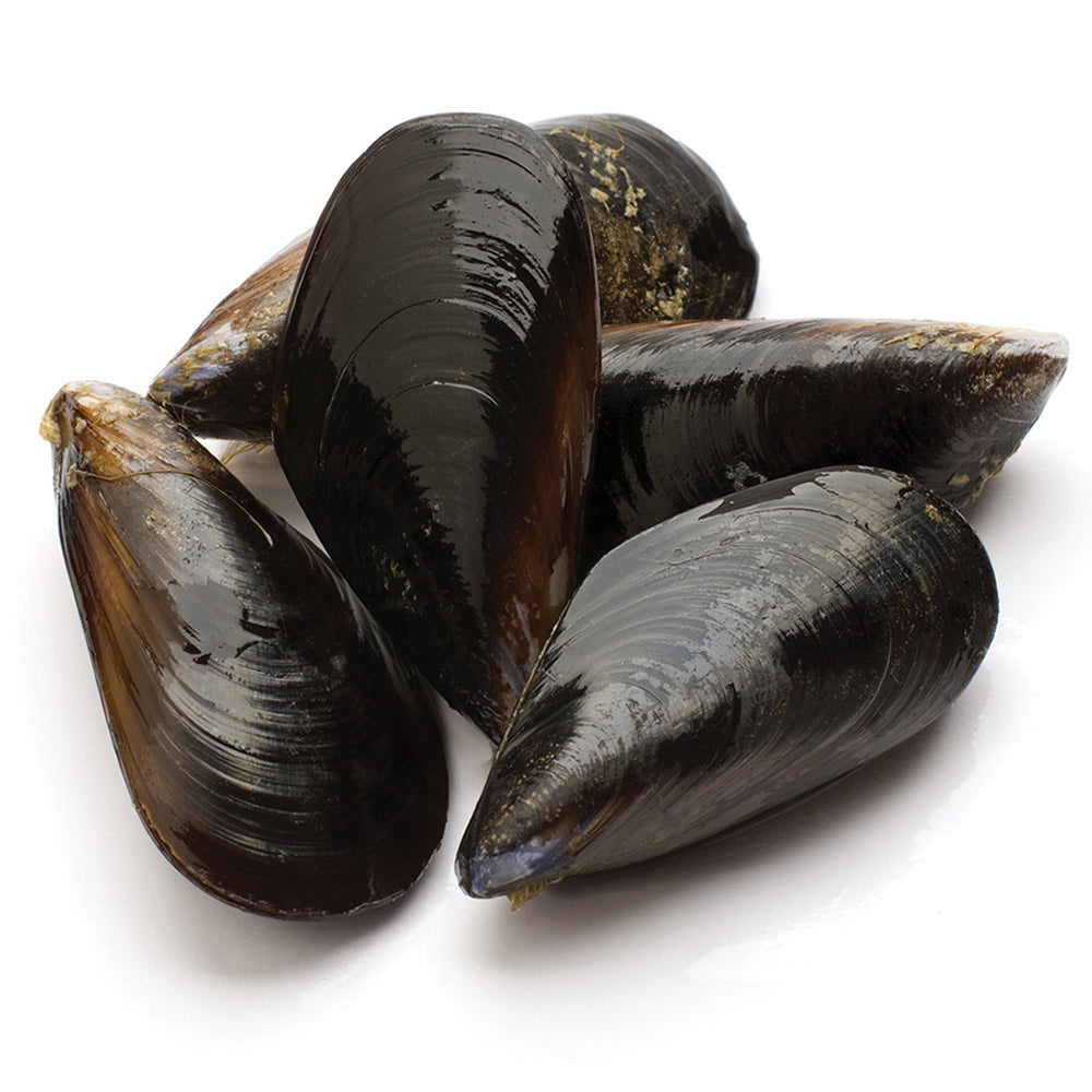 Wholesale Black Ice Case Pei Live Mussels- Bulk